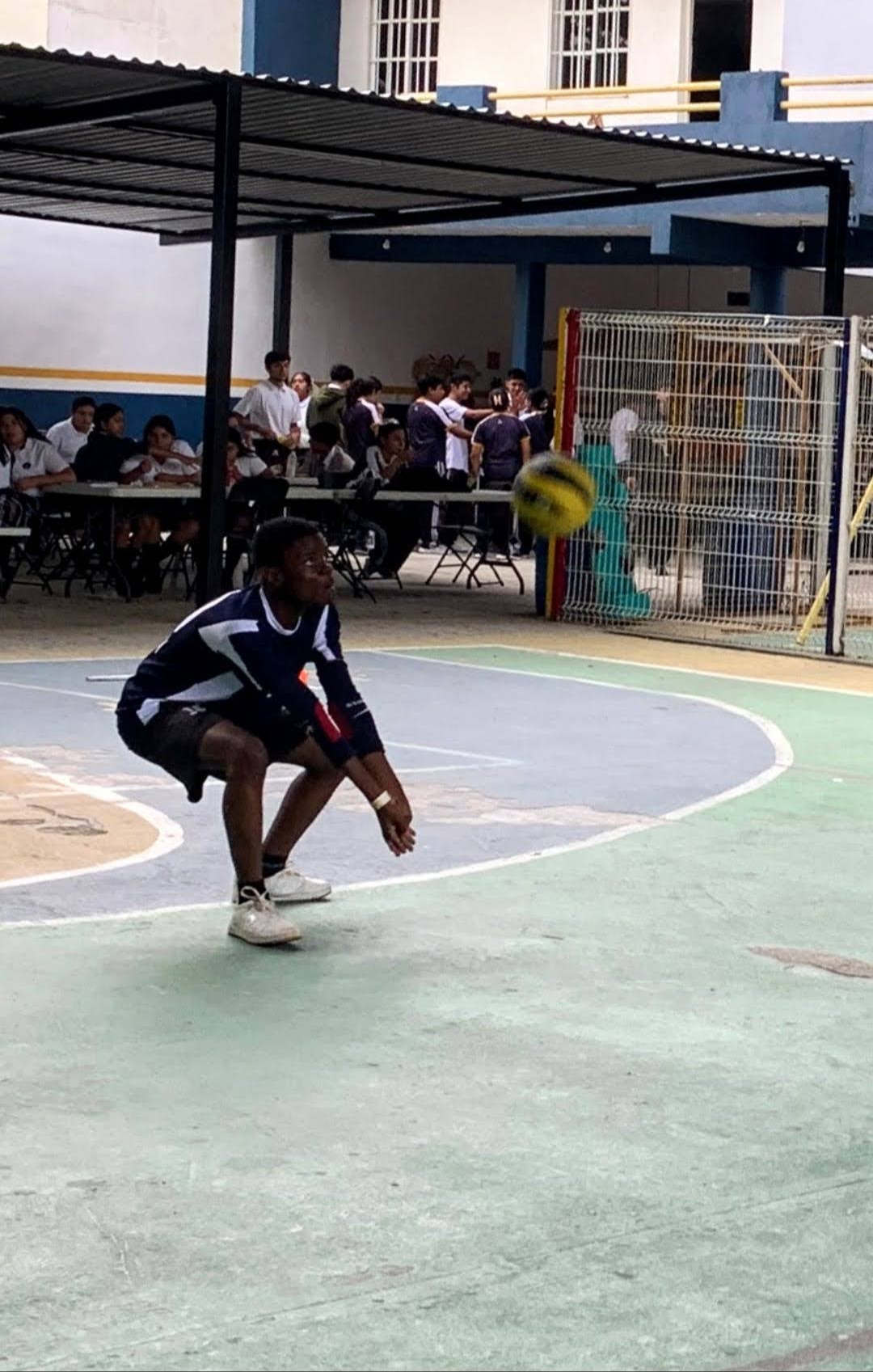 Voleibol